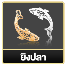 falcon 888